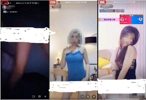 色情福利免费视频在线